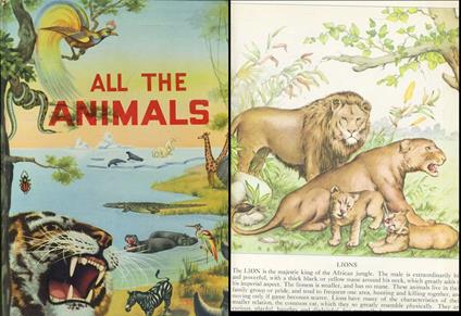 All The Animals Illustrated- Bruno Tomba Allevi - copertina