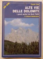Alte Vie delle Dolomiti i grandi sentieri dei Monti Pallidi (con varianti e ascensioni)