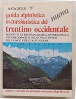 Guida alpinistica escursionistica del Trentino Occidentale