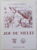 Jof de Melei. (Adunanza 1989 della Sezione Agordina del C.A.I.)