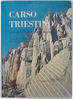 Carso triestino - immagini delle quattro stagioni