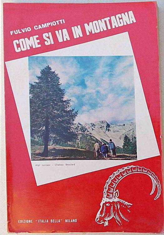Come si va in montagna - Fulvio Campiotti - copertina