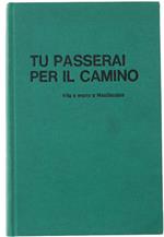 Tu Passerai Per Il Camino. Vita E Morte A Mauthausen