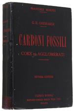 Carboni Fossili Inglesi - Tedeschi - Americani - Francesi - Belga. Coke ed Agglomerati. Seconda edizione