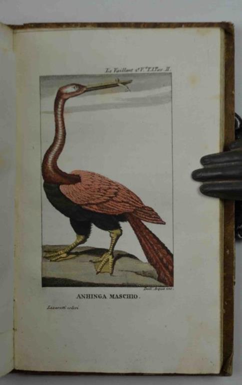 Secondo viaggio nell'interno dell'Africa pel capo di Buona Speranza, Traduzione dall'originale francese di F. Contarini - François Le Vaillant - copertina