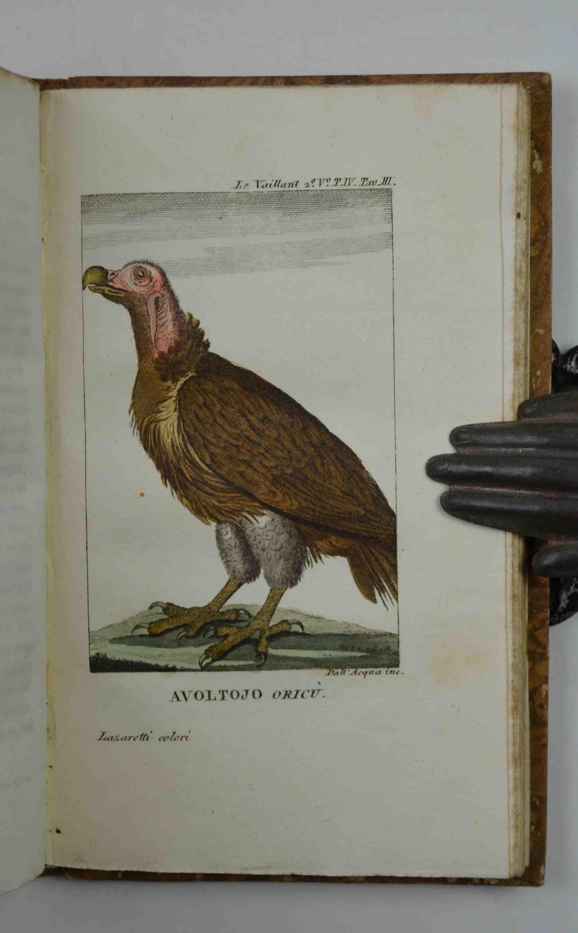 Studio bibliografico Benacense