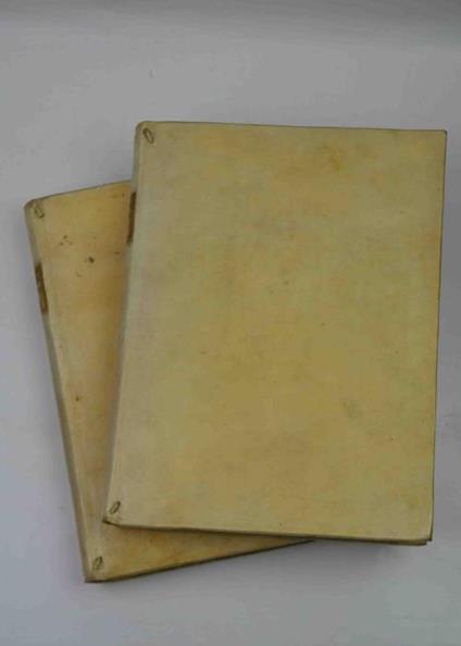 De synodo dioecesana libri tredecim in duos tomos distributi - Benedetto XIV - copertina