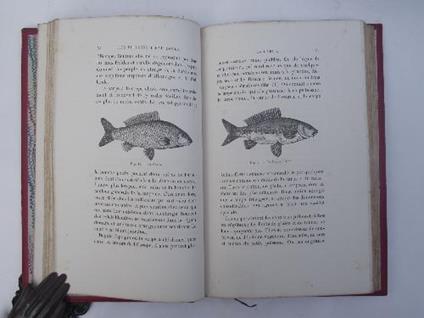 Les Poissons d'eau douce et la pisciculture… - Ph Gauckler - copertina