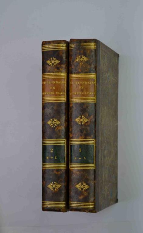 Dictionnaire pour servir à l'intelligence des auteurs classiques, grecs et latins, comprenant la géographie, la fable, l'histoire et les antiquités… - Math Christophe - copertina