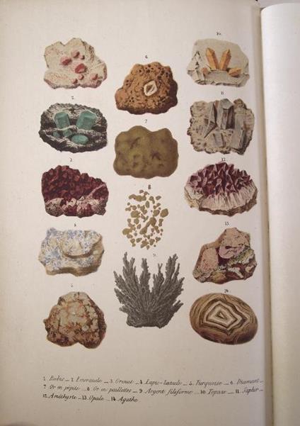 Les pierres précieuses et les principaux ornements. - copertina