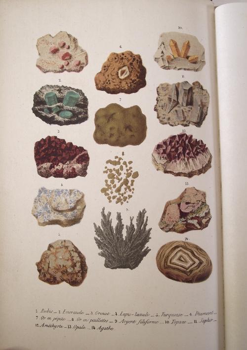 Les pierres précieuses et les principaux ornements. - copertina