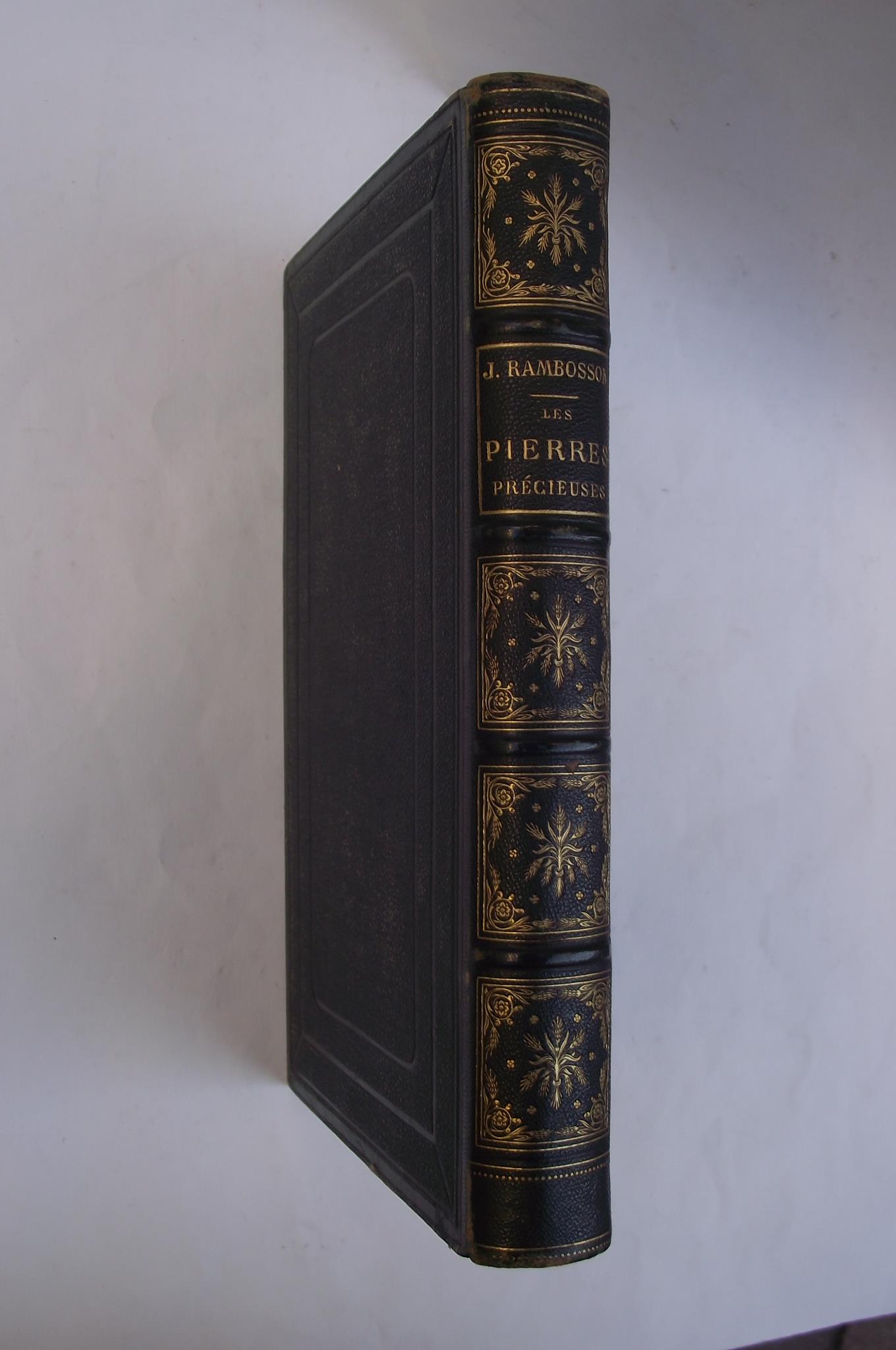 Les pierres précieuses et les principaux ornements.