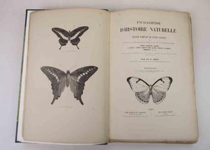 Papillons - J. Chenu - copertina