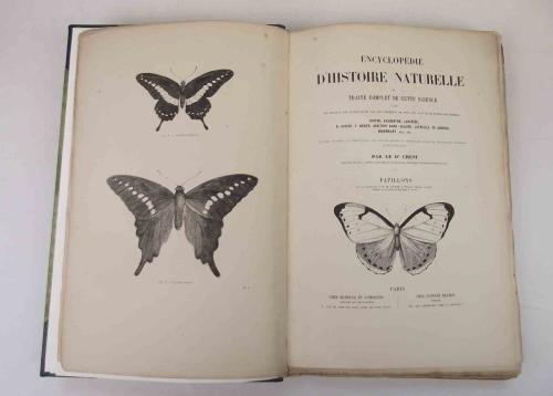 Papillons - J. Chenu - copertina