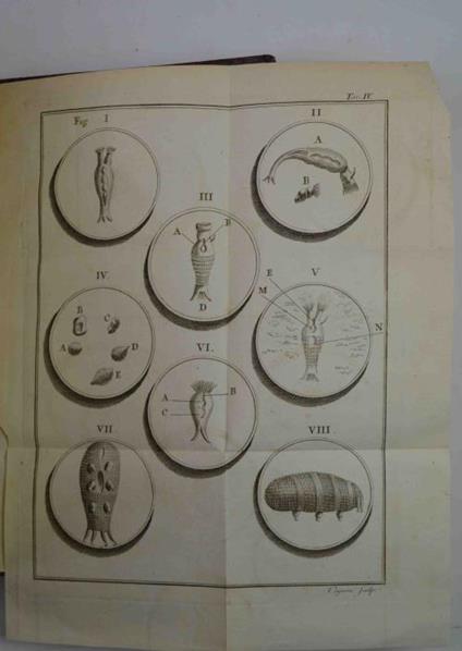 Opuscules de physique, animale et végétale Traduits de l'italien par Jean Senebier - Lazzaro Spallanzani - copertina