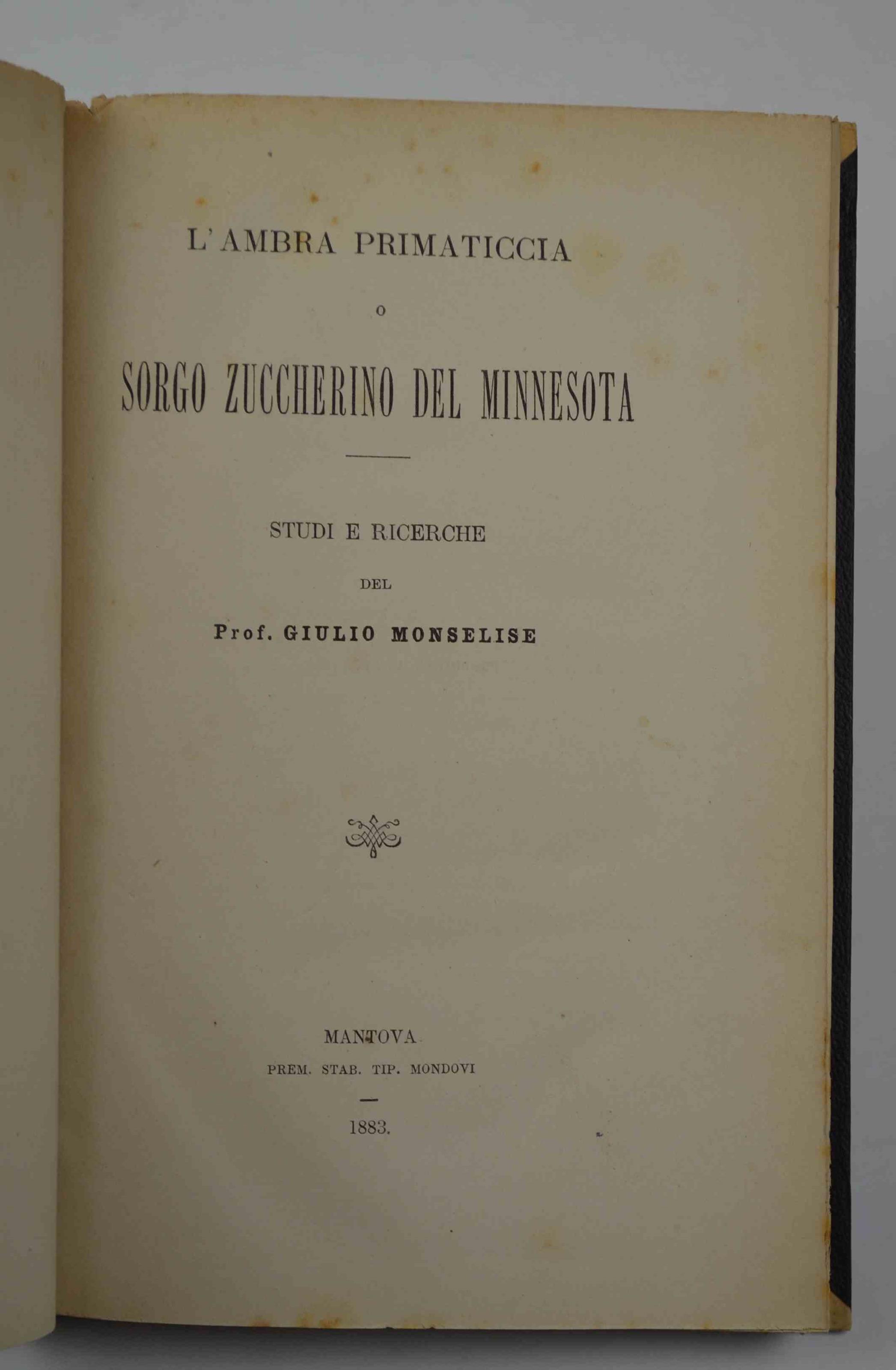 Studio bibliografico Benacense