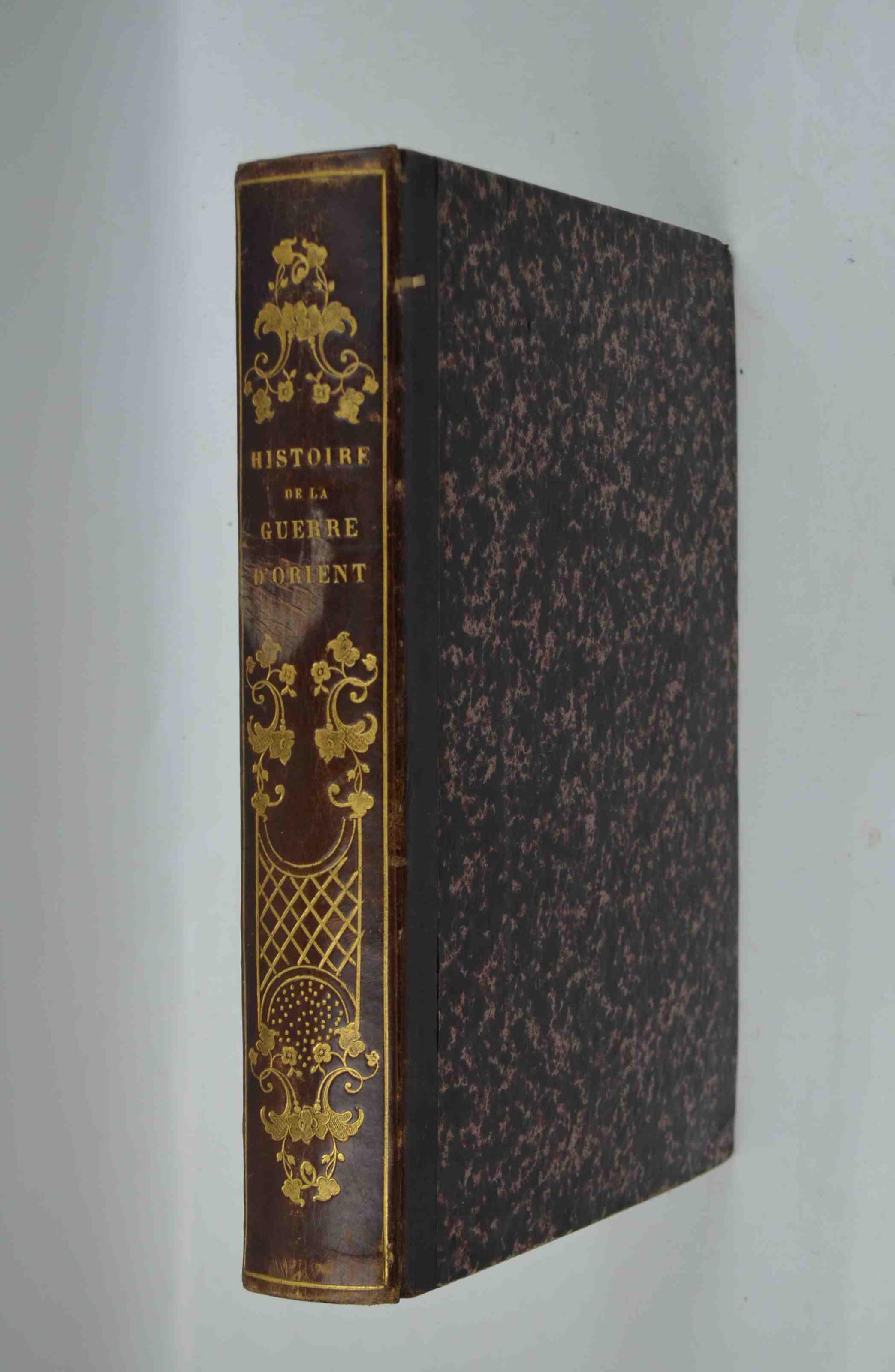 Histoire de la guerre en Orient