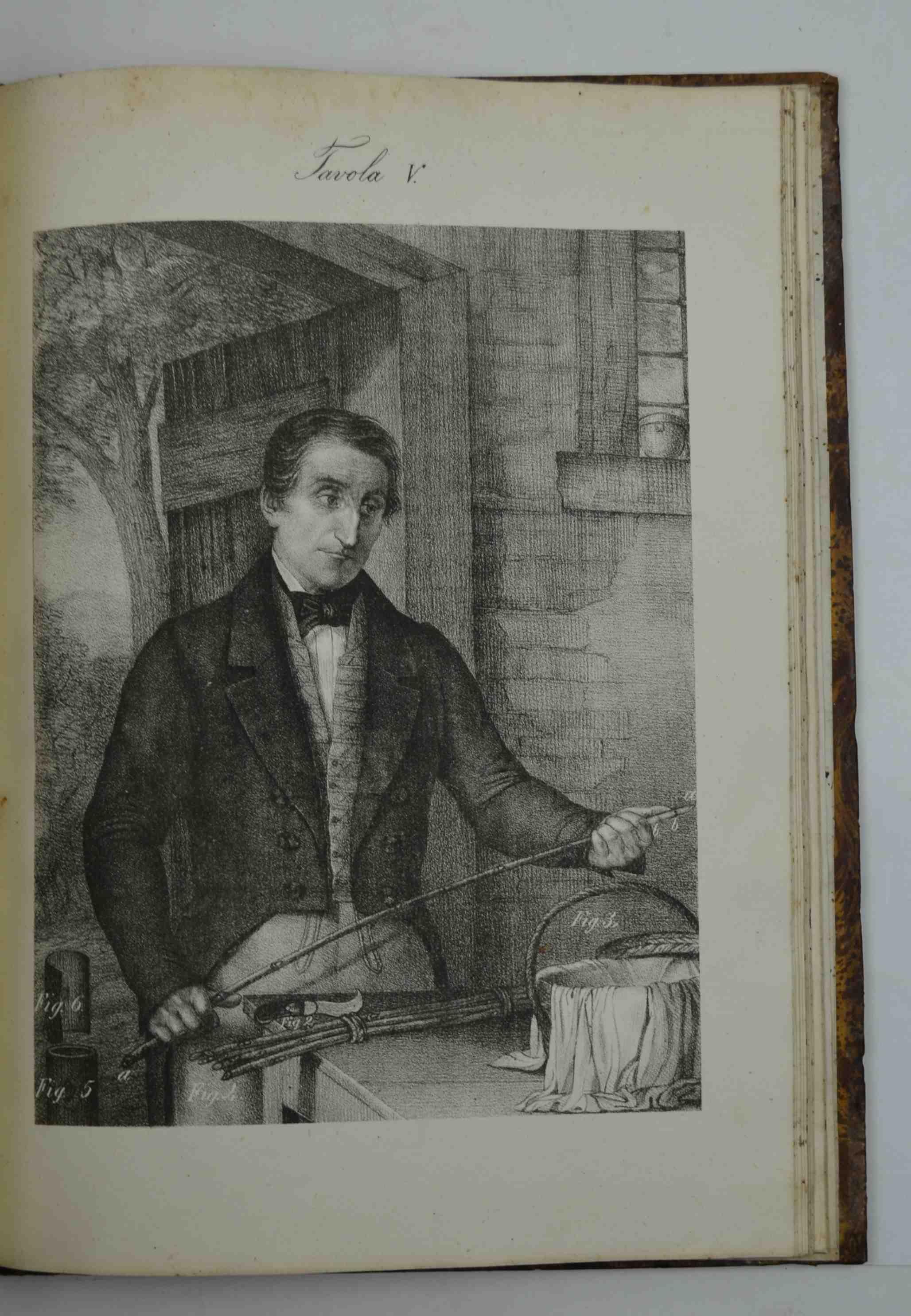 L' educazione del gelso compiuta in sette anni e dimostrata Trattato pratico dedotto dalle esperienze di 25 anni Con in fine un Saggio sulle siepi o piante a cespuglio
