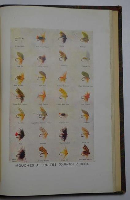 La peche et les poissons. Dictionnaire général des peches Accompagné d'un supplememt par Ed. Renoir, Ryvez et Lucien Jouenne. - copertina