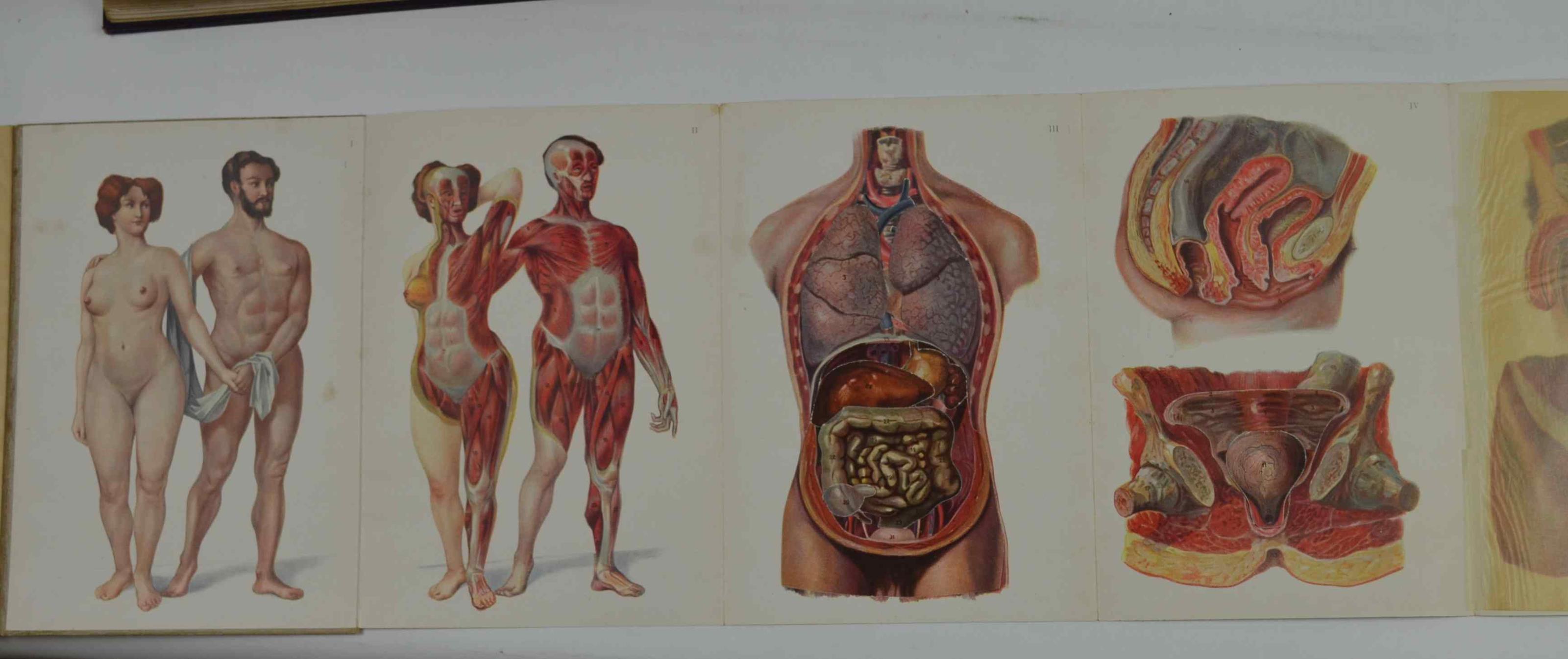 Studio bibliografico Benacense