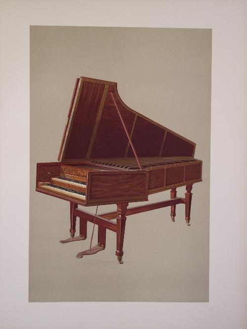 Musical instruments. Historic, Rare and Unique. Illustrated by a series of fifty plates in colours drawn by William Gibb - A.J Hipkins - copertina
