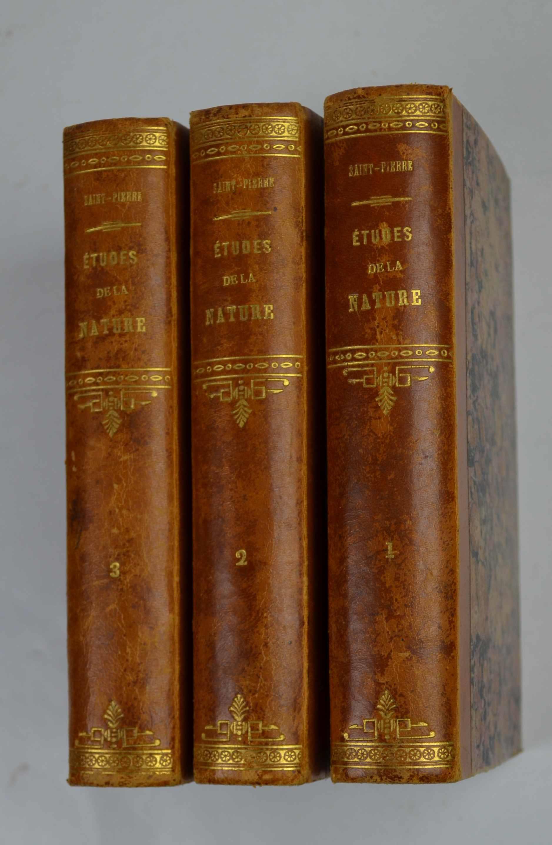 Studio bibliografico Benacense