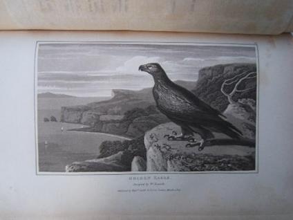 Zoography or the Beauties of Nature Displayed in select descriptions from the animal, and vegetable, with the addiction from the mineral kingdom - W. Wood - copertina