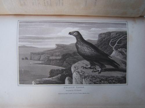Zoography or the Beauties of Nature Displayed in select descriptions from the animal, and vegetable, with the addiction from the mineral kingdom - W. Wood - copertina