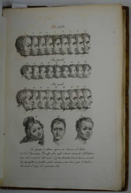 La Calcografia propriamente detta, ossia l'Arte d'Incidere in rame coll'Acqua-forte, col Bulino e colla Punta. Ragionamenti Volume primo concernente la teorica dell'arte (unico pubblicato) - Giuseppe Longhi - copertina