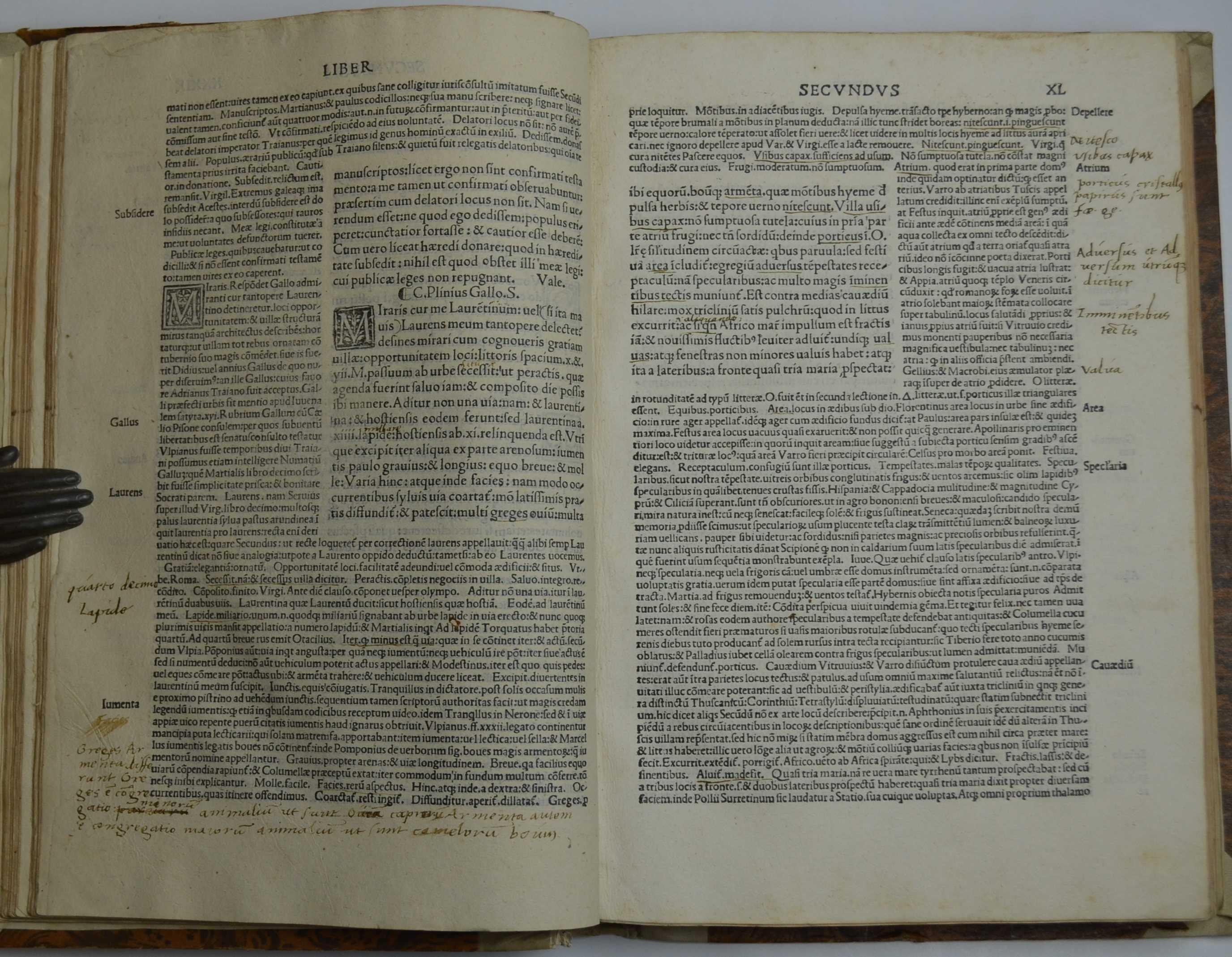 Libri epistolarum novem addito nuc et decimo cum Panegyrico.i. oratione de laudibus Traiani Iperatoris.