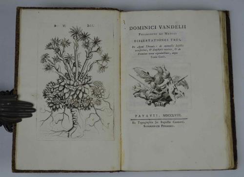 Dissertationes Tres. De Aponi Thermis: de Nonnullis Insectis Terrestribus, & Zoophytis Marinis, & de Vermium terrae reproductione, atque Taenia Canis - Domenico Vandelli - copertina