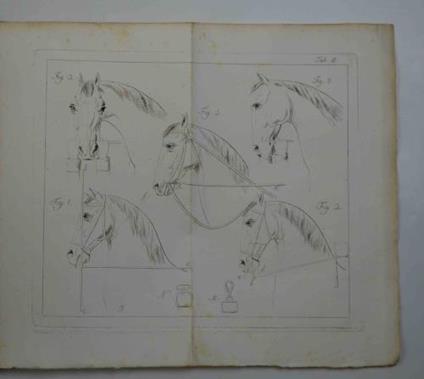 Sul morso più confacente al cavallo. Traduzione dal tedesco - M. Weyrother - copertina