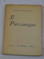 Il purosangue