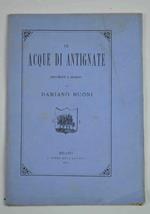 Le acque di Antignate