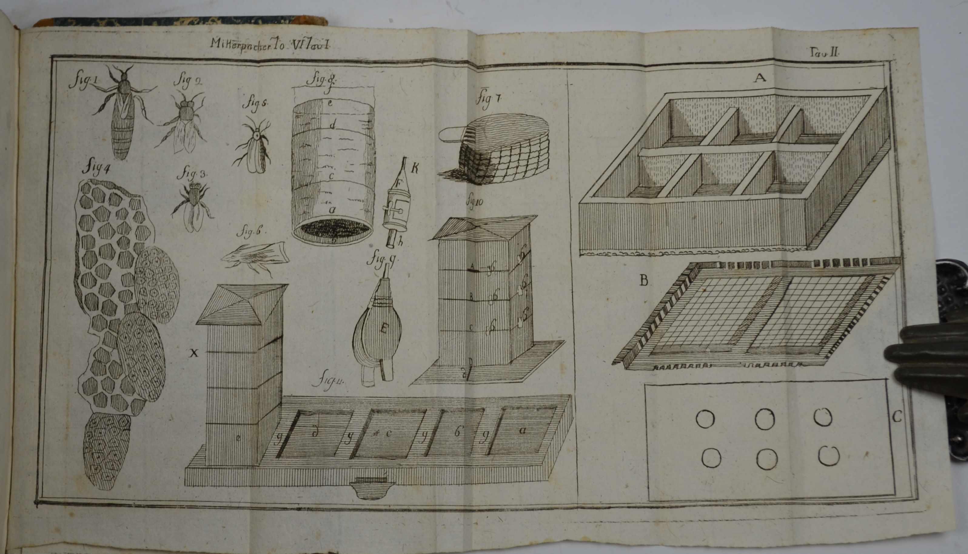 Nuovi prodigj di grazia del Dio redentore nella venerabile serva di Dio suor Chiara Isabella Gherzi dell'Immacolata Concezione già abbadessa nel monastero delle Clarisse detto della SS. Trinità in Gubbio distribuiti e descritti in cinque libri da un