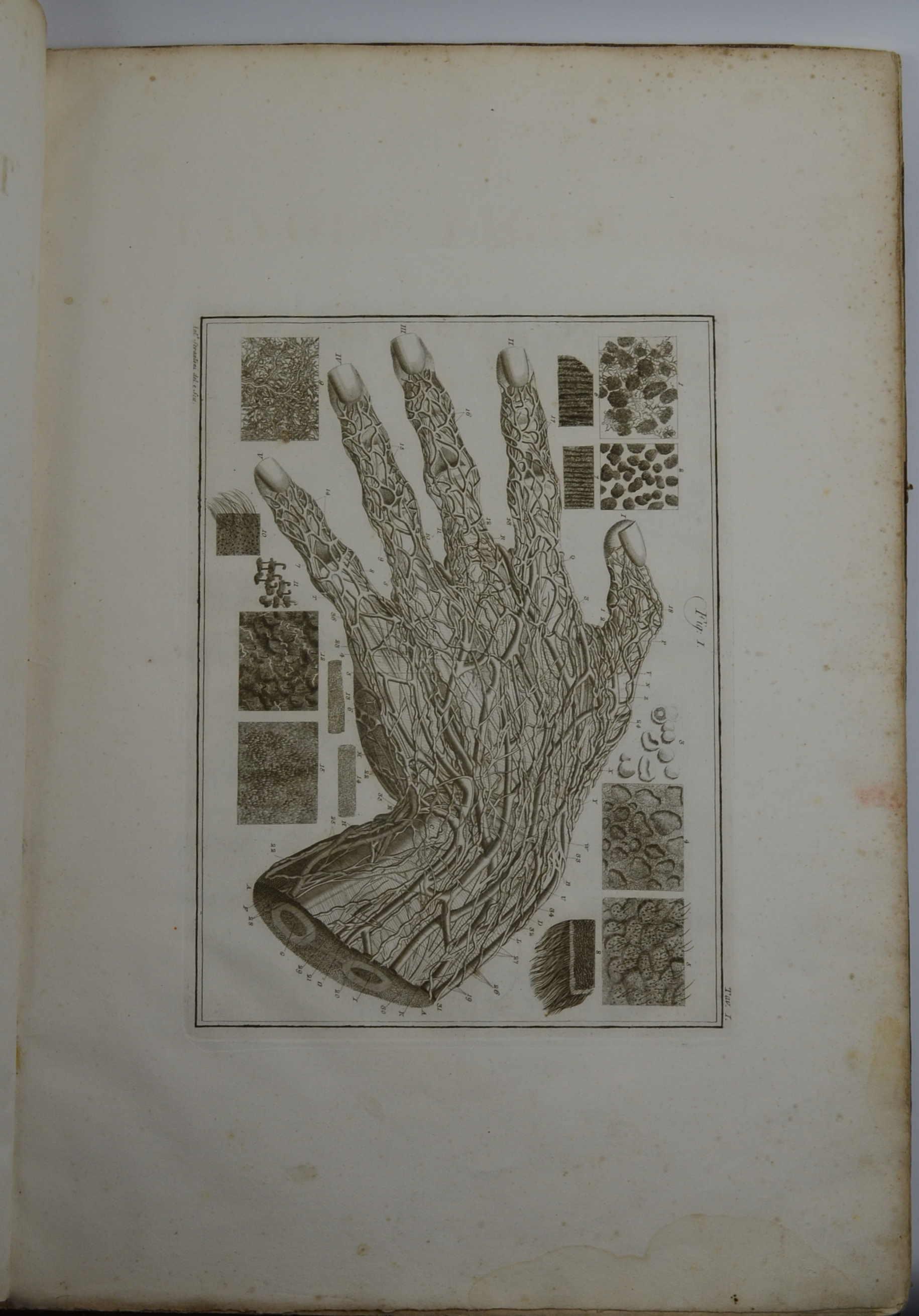 Studio bibliografico Benacense