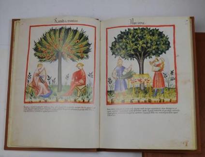 Tacuinum sanitatis in medicina Codex Vindobonensis Series Nova 2644 della Österreichische Nationalbibliothek - copertina