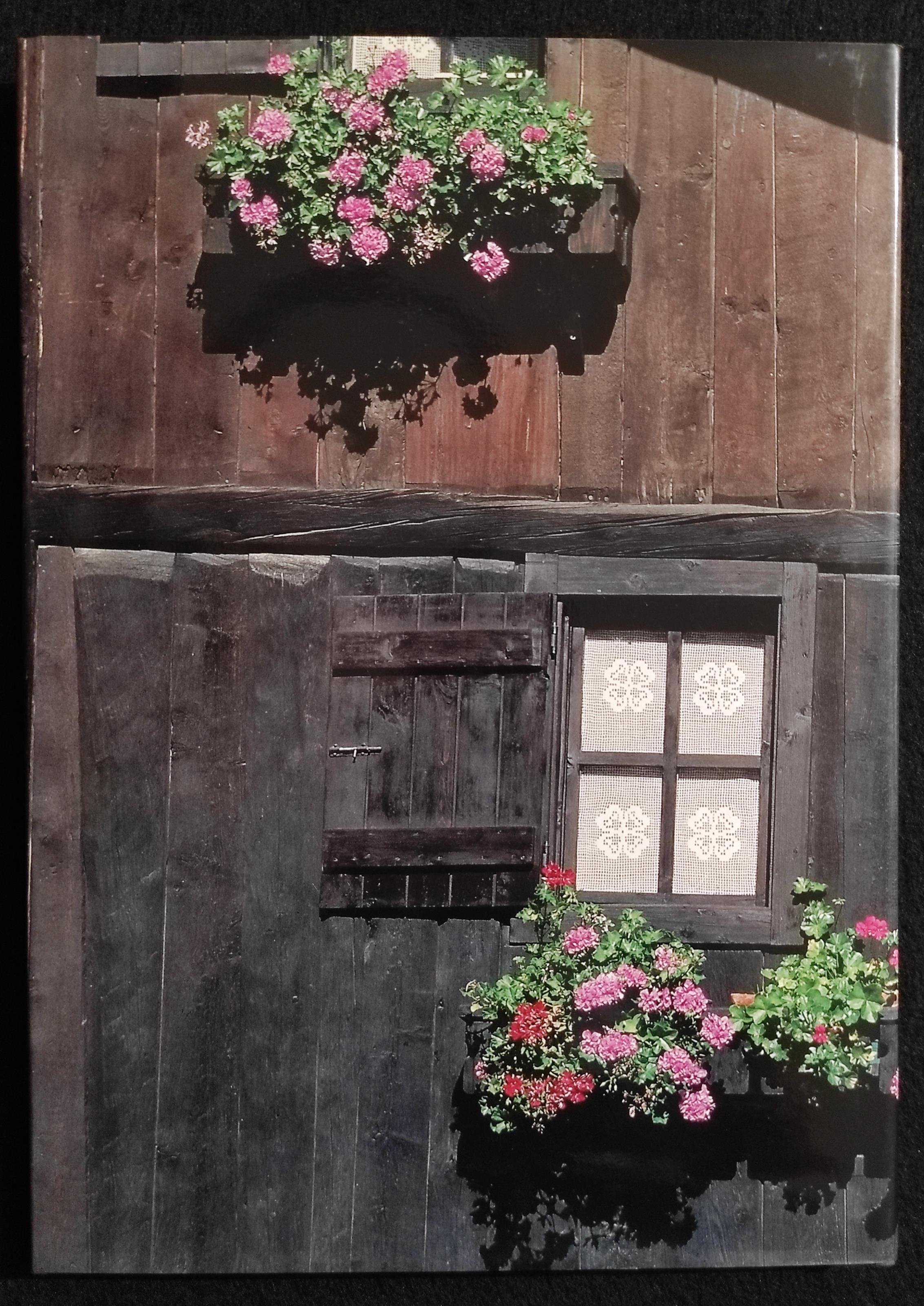 In Valle D'Aosta - En Vallée d'Aoste - P. Giglio - Musumeci Ed. - 1995