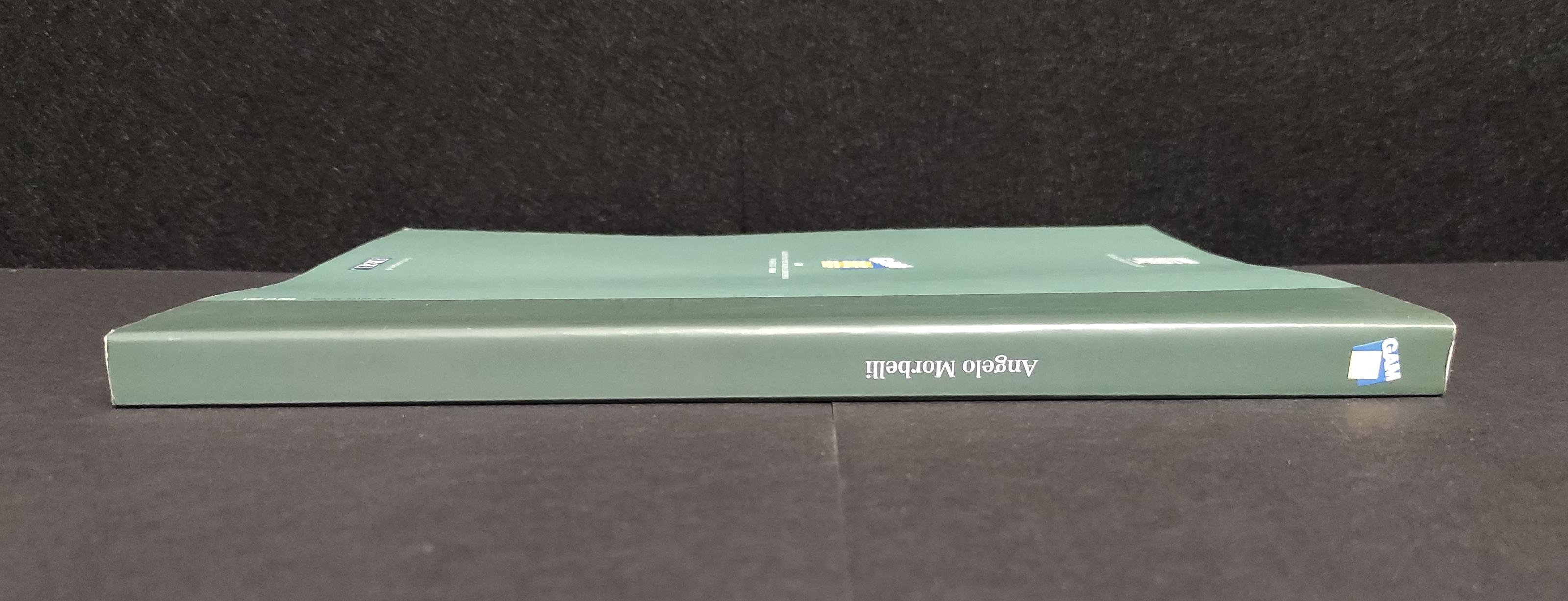 Angelo Morbelli tra Realismo e Divisionismo - Ed. GAM - 2001