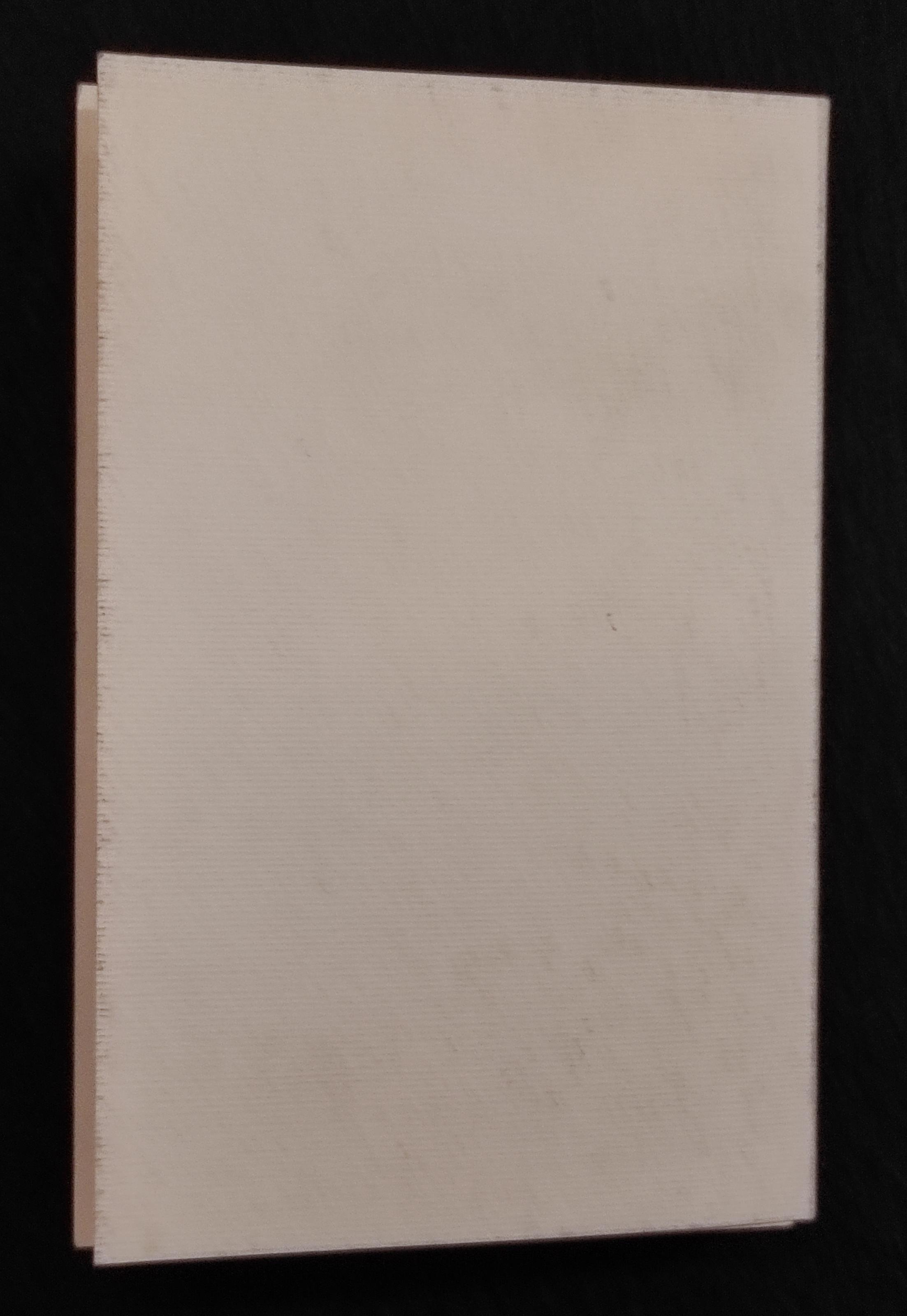 Anam - Paolo Tonin Arte Contemporanea - 2004