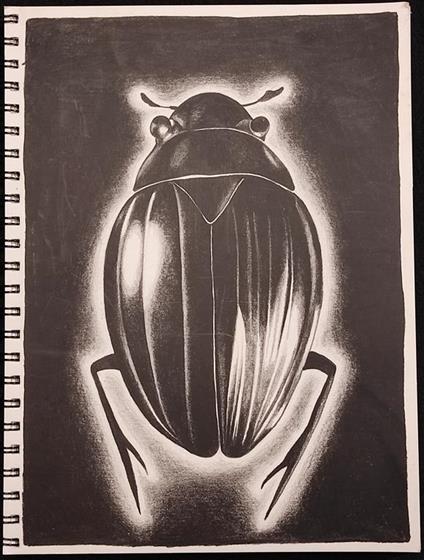 Coleotterofobia - Marina Burani - Ed. Alphacentauri - 2008 - Maria Burani - copertina