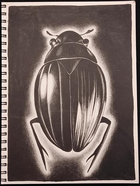 Coleotterofobia - Marina Burani - Ed. Alphacentauri - 2008 - Maria Burani - copertina