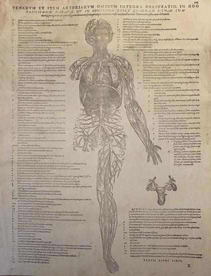 Riproduzione - copertina