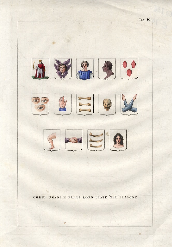 Libreria antiquaria Gozzini