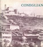 Conegliano Vita, Arte E Storia