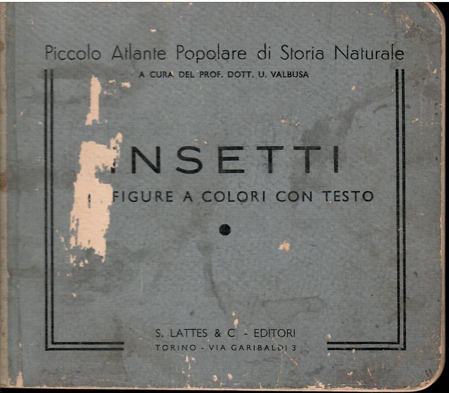 Libroteka di Fattoretti Silvia