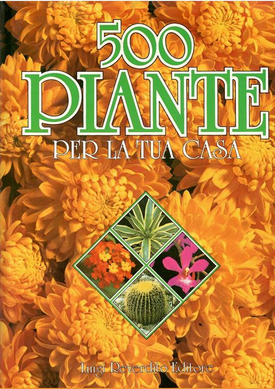 Libroteka di Fattoretti Silvia