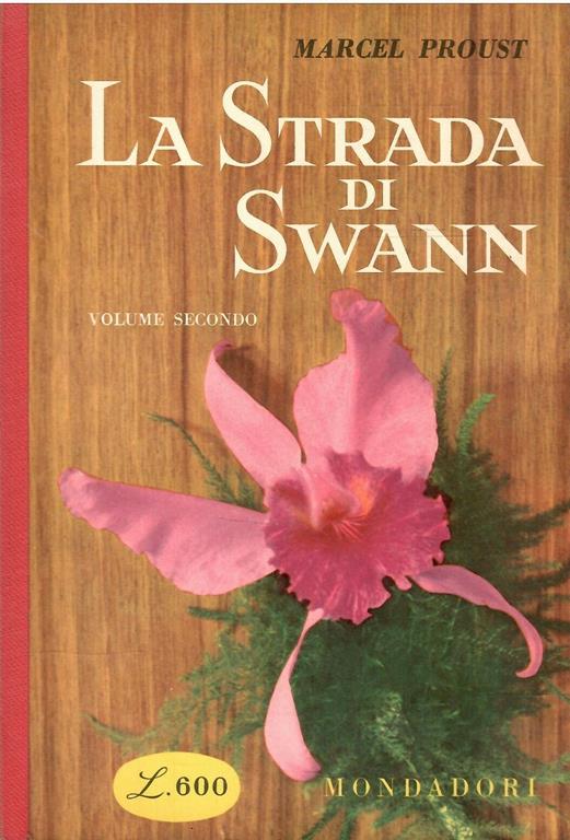 Libroteka di Fattoretti Silvia