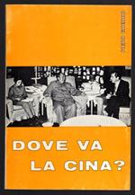 Dove va la Cina?