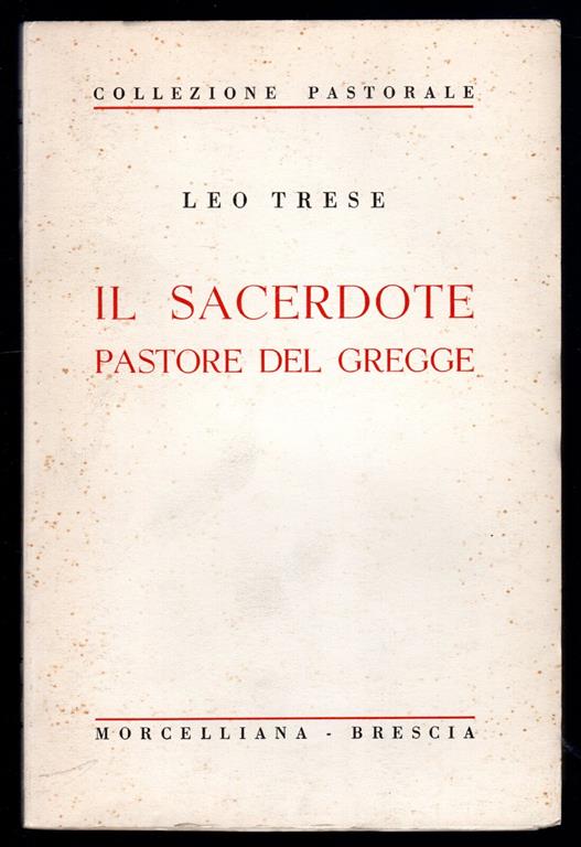 Libreria Trippini Sergio